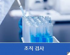 조직검사