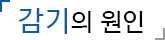감기의 원인