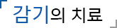 감기의 치료