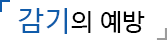 감기의 예방