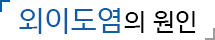 외이도염의 원인