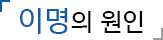 이명의 원인