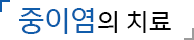 중이염의 치료