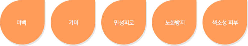 미백, 기미, 만성피로, 노화방지, 색소성 피부