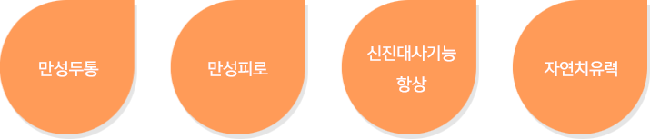 만성두통 만성피로 신진대사기능 항상, 자연치유력