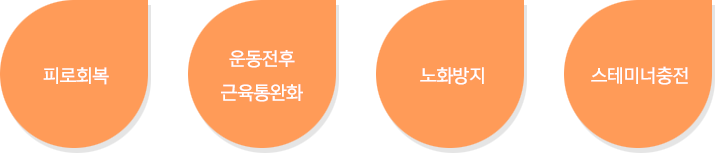 피로회복, 운동전후 근육통완화, 노화방지, 스테미너충전