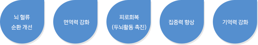 뇌 혈류 순환 개선, 면역력 강화, 피로회복(두뇌활동 촉진) 집중력 항상, 기억력 강화