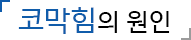 코막힘의 원인