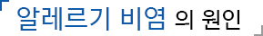 코막힘의 원인
