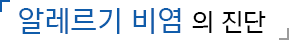 알레르기 비염 의 진단
