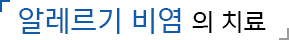 알레르기 비염 의 치료