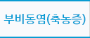 축농증