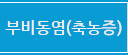 축농증