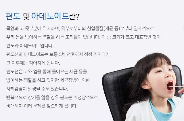편도 및 아데노이드란?